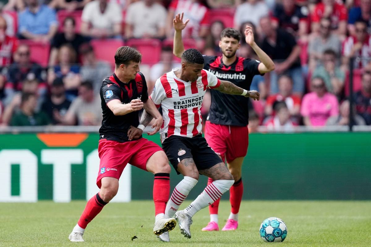 他执教生涯 他执教生涯